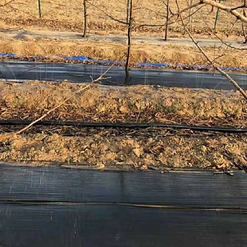 防草�?8